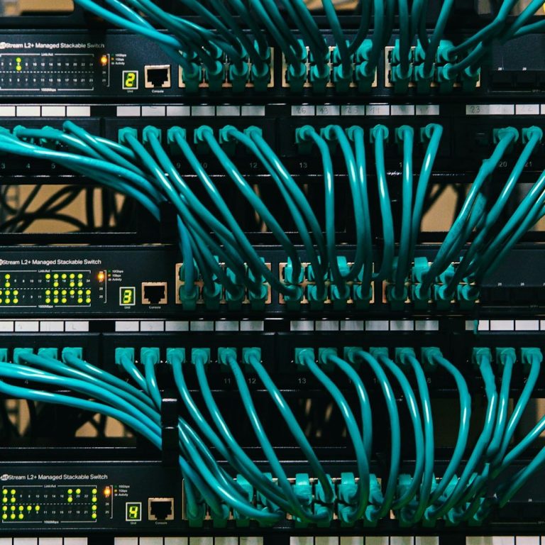 Close-up of networking equipment with numerous blue Ethernet cables connected.